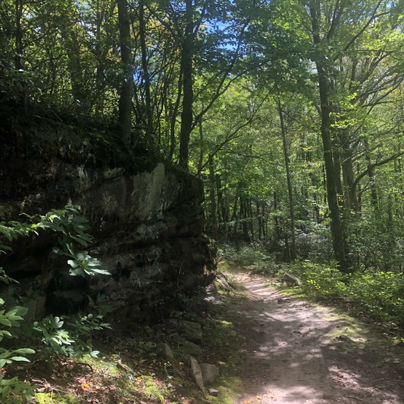 Listing Details - Picture 5 of 10